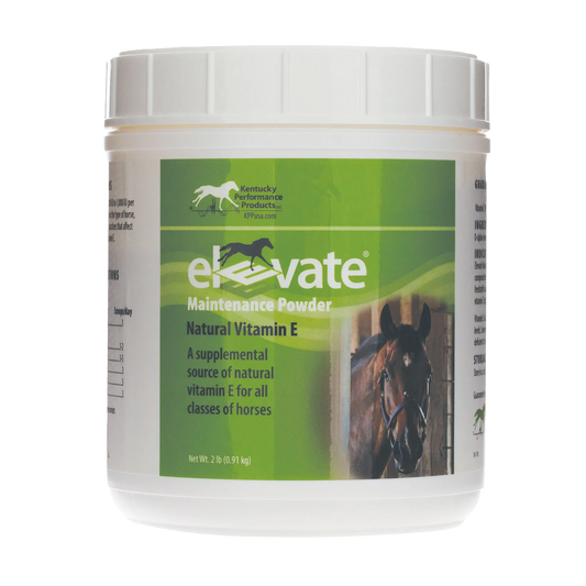 Elevate Maintenance Powder,"White plastic tub with green front label and screw-top lid"