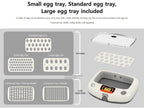 Pro-20 Incubator by Rcom USA,"Incubator with clear lid and three removable egg trays"