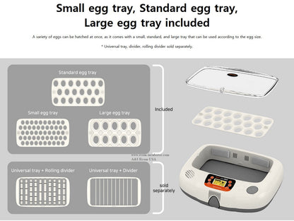 Pro-20 Incubator by Rcom USA,"Incubator with clear lid and three removable egg trays"