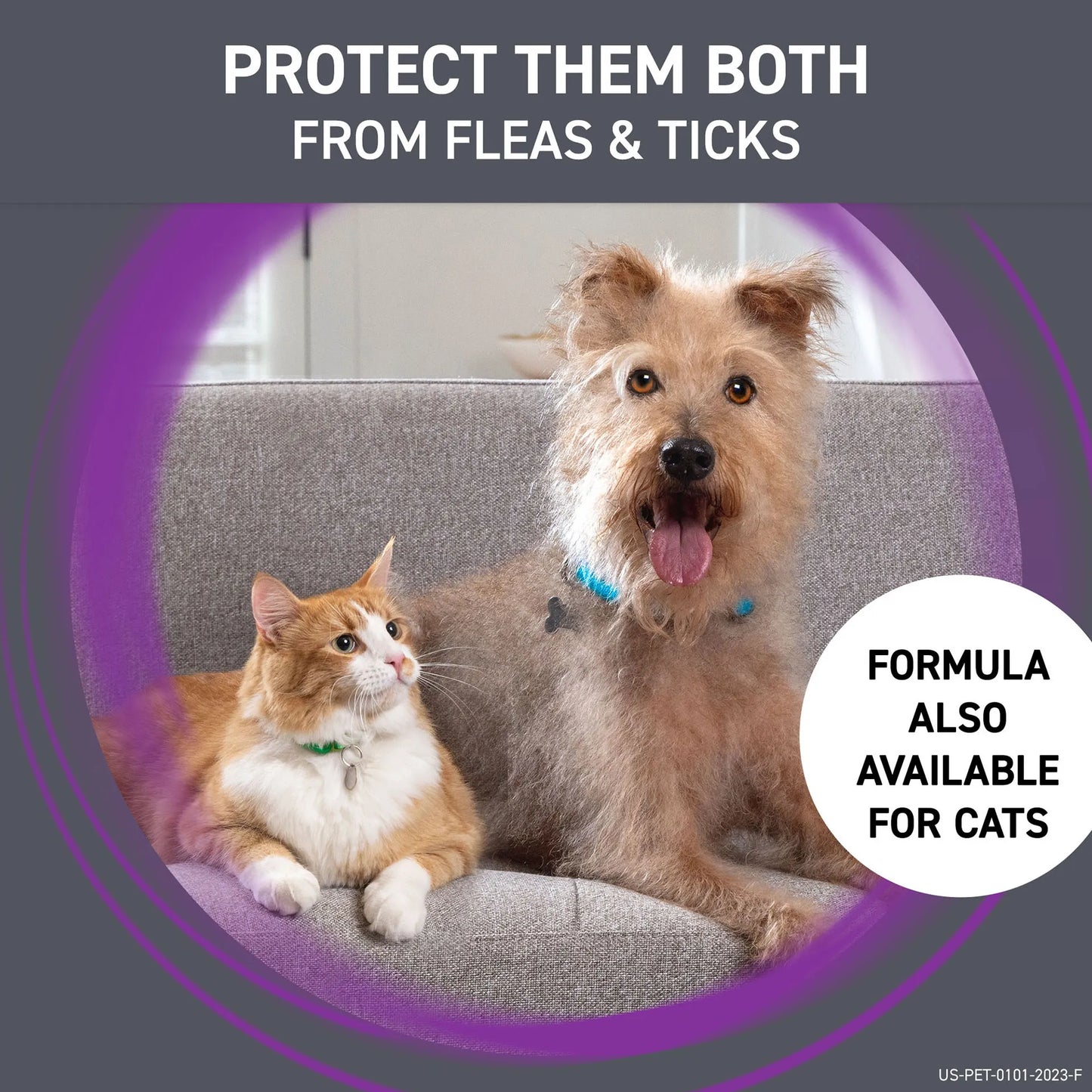 Frontline® Plus for Dogs,"Dog and orange-and-white cat sitting together on a couch"