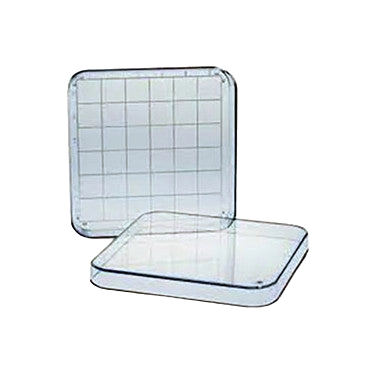 Gridded Search Dish with Lid,"Clear square dish with lid and gridded insert"