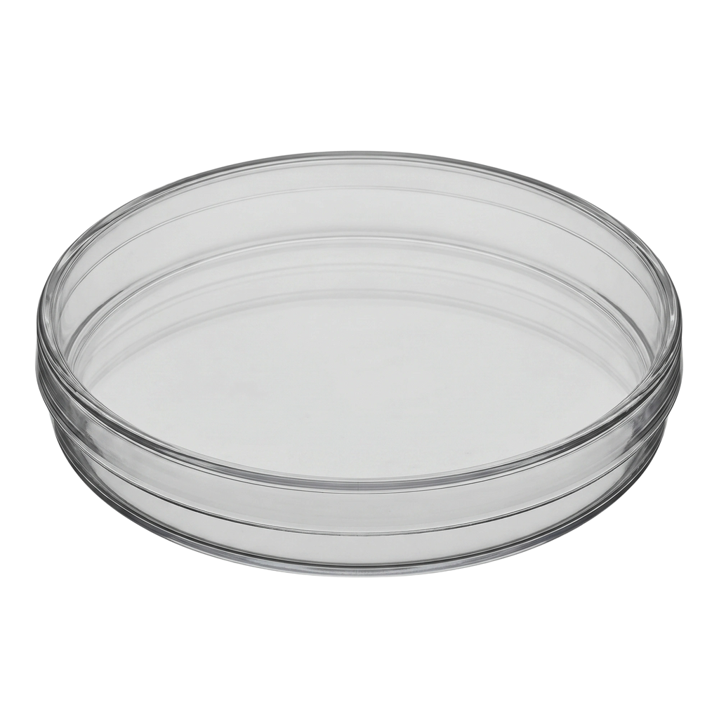 Petri dish 150mmx15mm,"Clear petri dish with lid, angled side view"