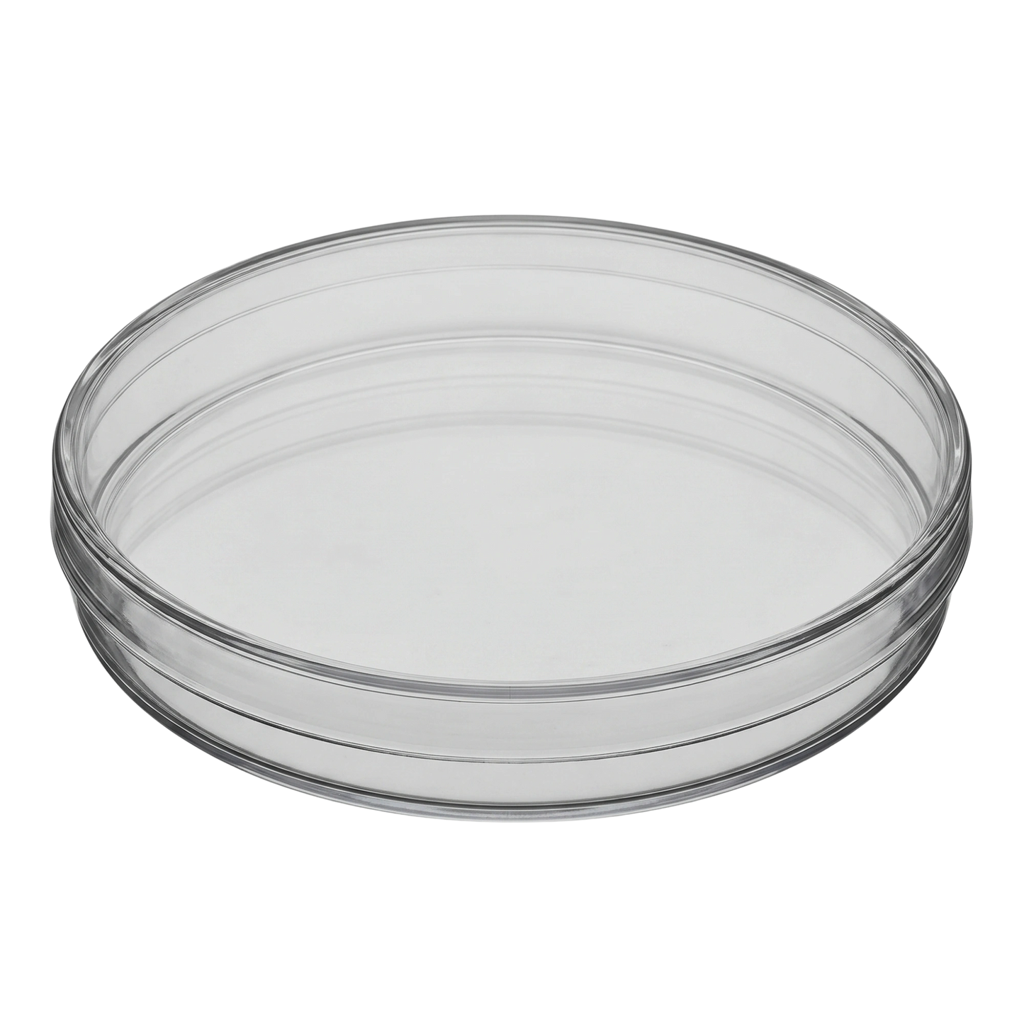 Petri dish 150mmx15mm,"Clear petri dish with lid, angled side view"