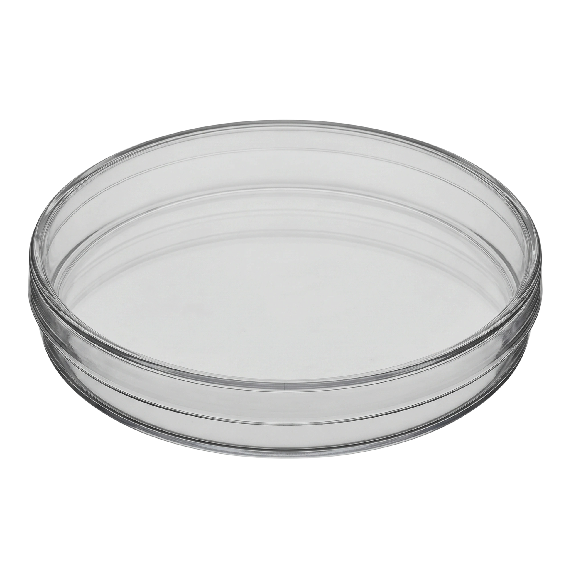 Petri dish 150mmx15mm,"Clear petri dish with lid, angled side view"