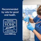 ProDen PlaqueOff® Powder,"Veterinarian examining a white dog's teeth"