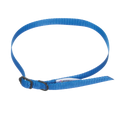 Breeder's Edge® ID Me™ Take Me Home Collars and Leashes,"Blue nylon collar and leash with black buckle"