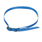 Breeder's Edge® ID Me™ Take Me Home Collars and Leashes,"Blue nylon collar and leash with black buckle"