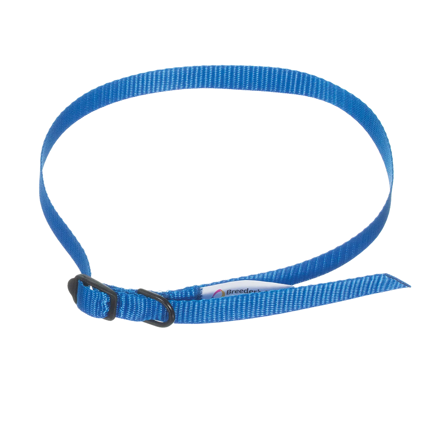 Breeder's Edge® ID Me™ Take Me Home Collars and Leashes,"Blue nylon collar and leash with black buckle"