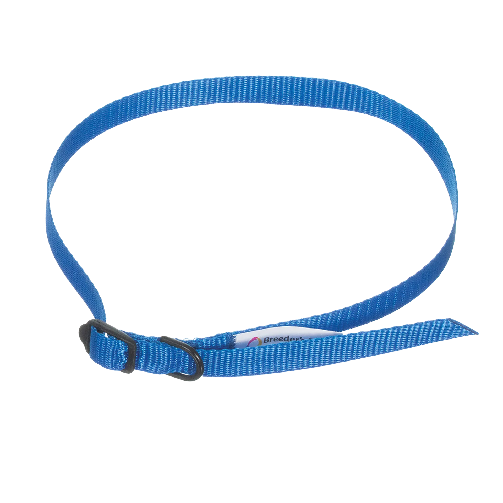 Breeder's Edge® ID Me™ Take Me Home Collars and Leashes,"Blue nylon collar and leash with black buckle"