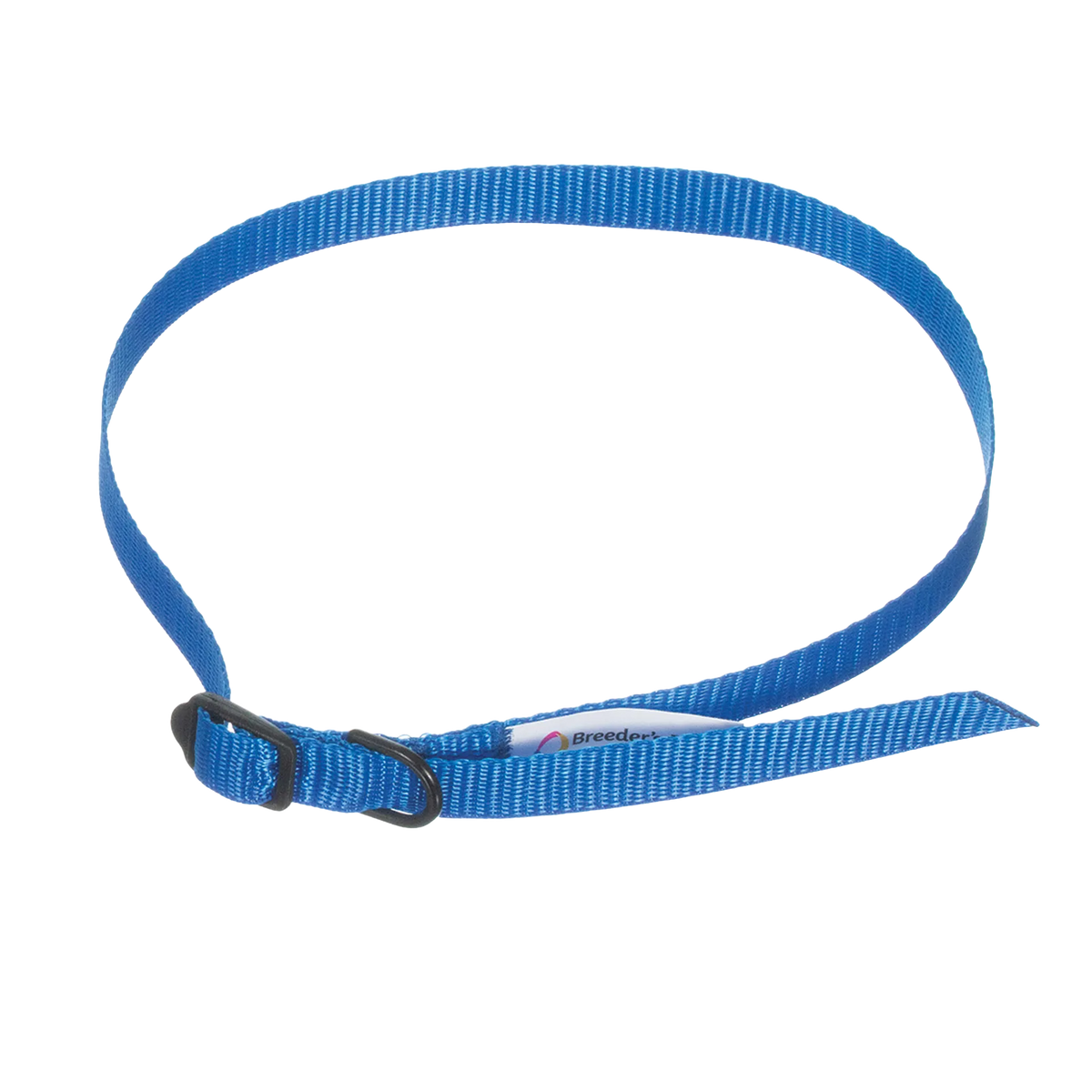 Breeder's Edge® ID Me™ Take Me Home Collars and Leashes,"Blue nylon collar and leash with black buckle"