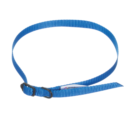 Breeder's Edge® ID Me™ Take Me Home Collars and Leashes,"Blue nylon collar and leash with black buckle"