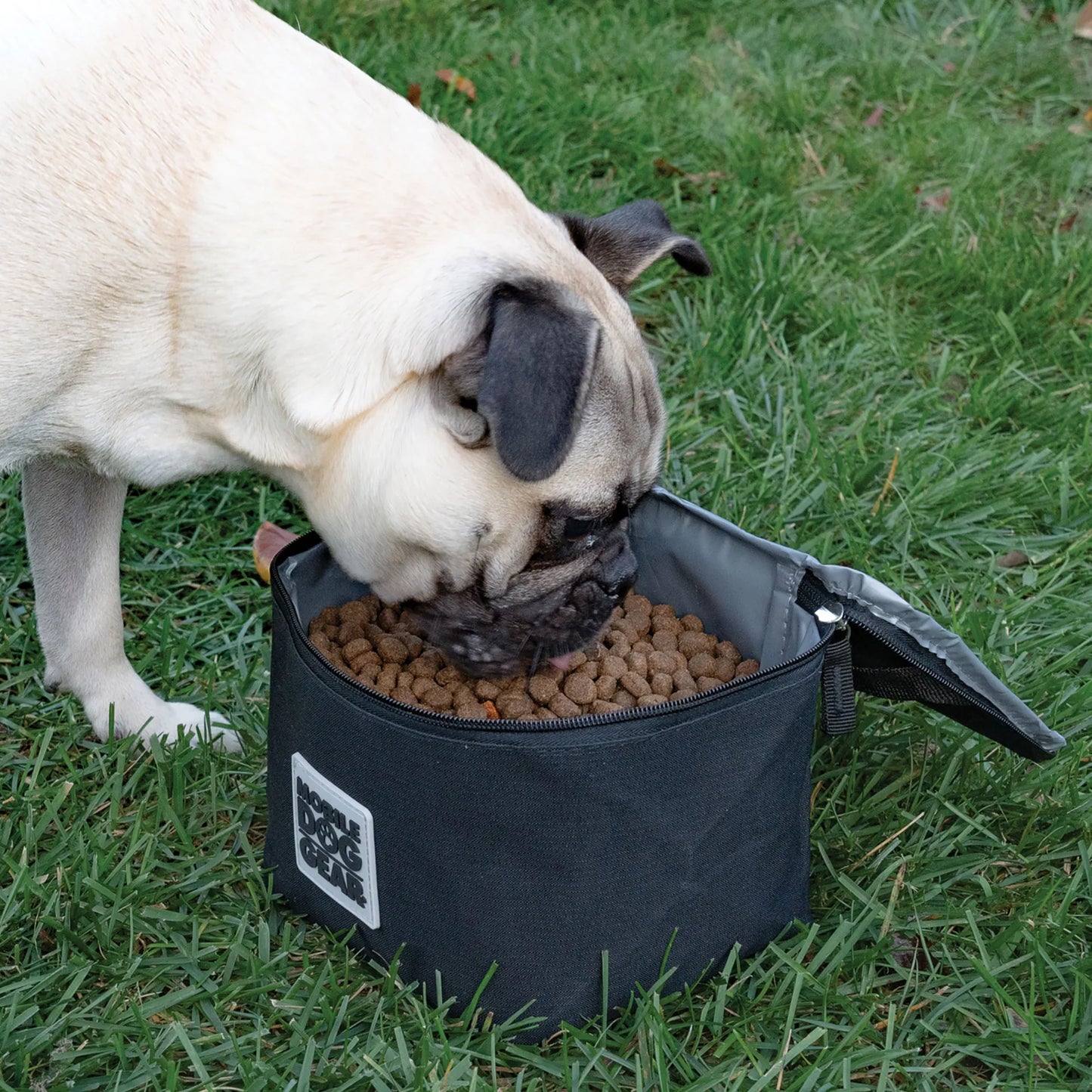 Replacement Insulated Dog Food Carriers,"Open insulated carrier filled with kibble"
