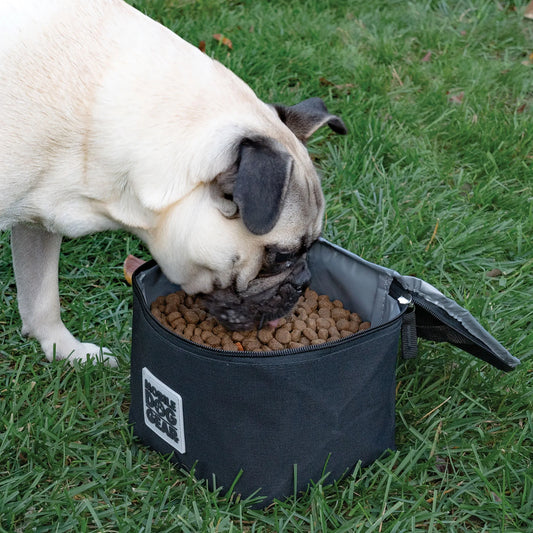 Replacement Insulated Dog Food Carriers,"Open insulated carrier filled with kibble"