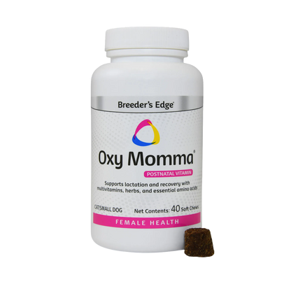 Queening Bundle,"White supplement bottle with pink label and soft chew"