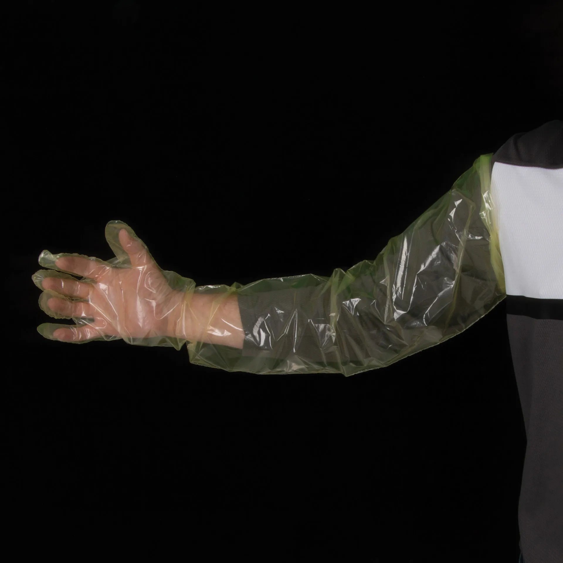 Non Sterile Shoulder Length Glove,"Clear shoulder-length glove worn on arm"