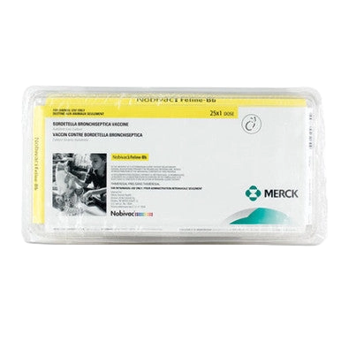 Nobivac® Feline-Bb,"Blister-packaged vaccine box with yellow border"