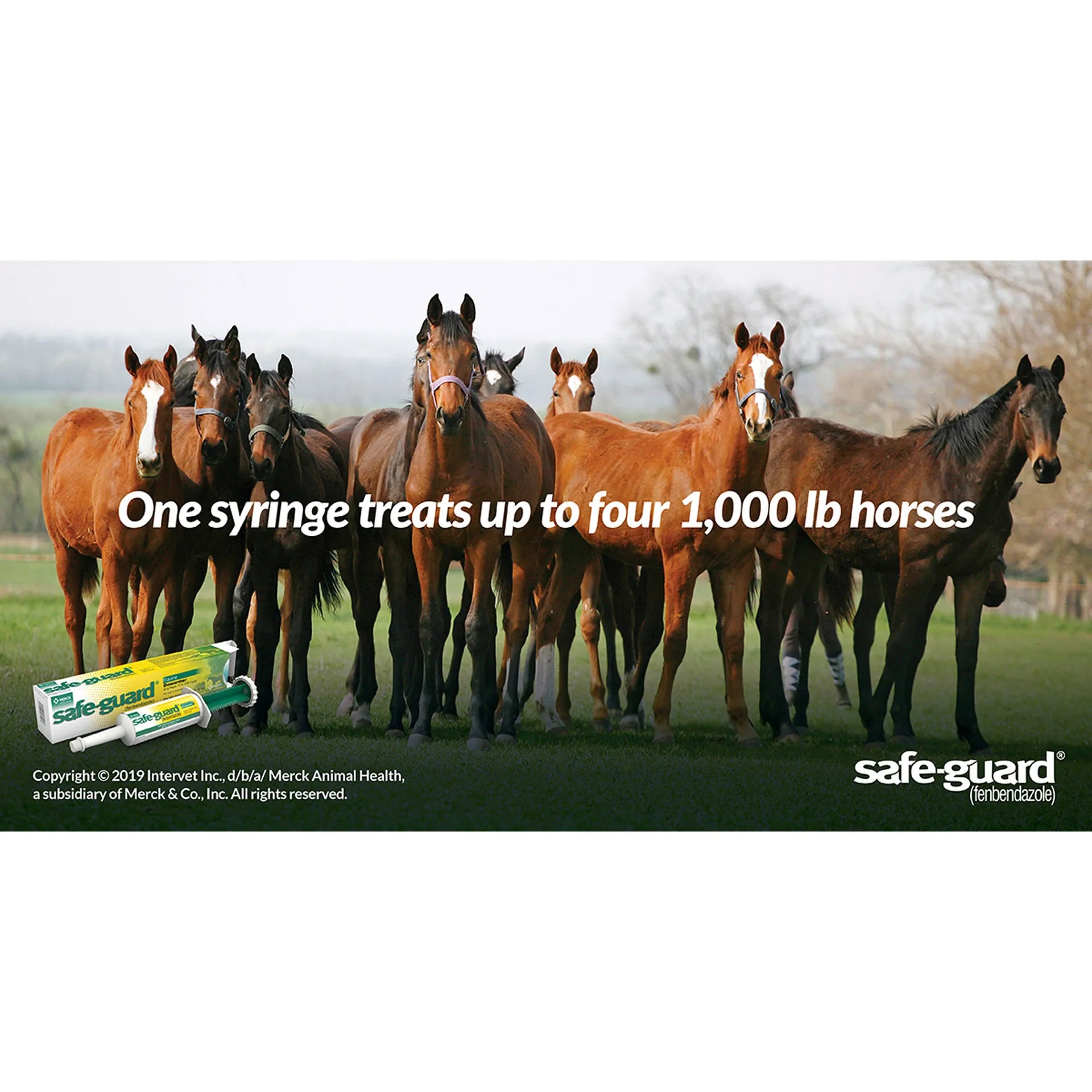 Safe-Guard® Equine Dewormer,"Dewormer syringe and box with horses in field"