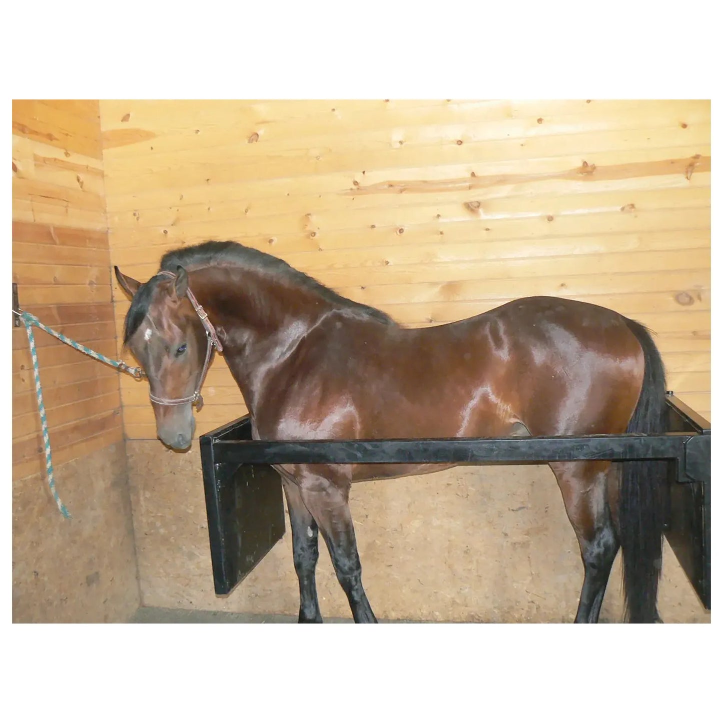Stall Stocks Uni,"Black stall stock panels around a horse in a wood stall"