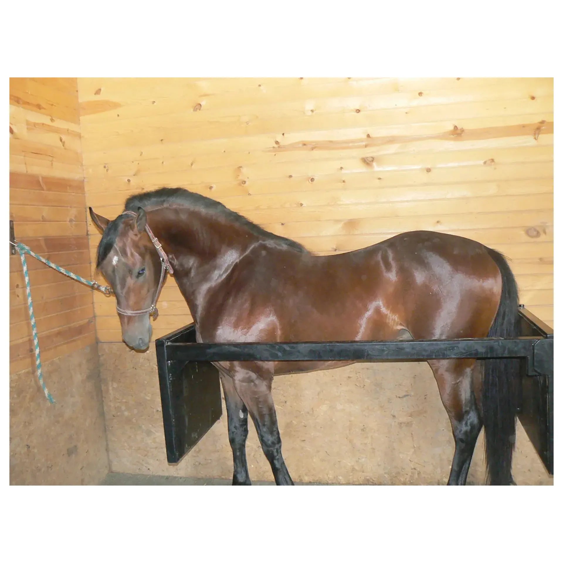 Stall Stocks Uni,"Black stall stock panels around a horse in a wood stall"