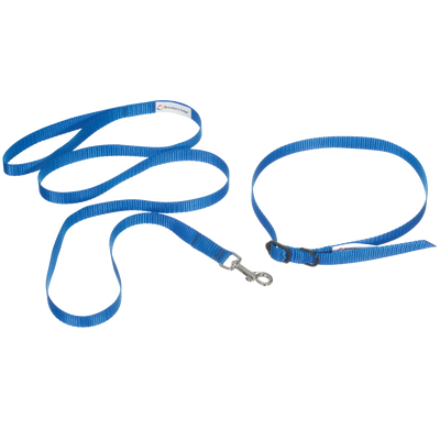 Breeder's Edge® ID Me™ Take Me Home Collars and Leashes