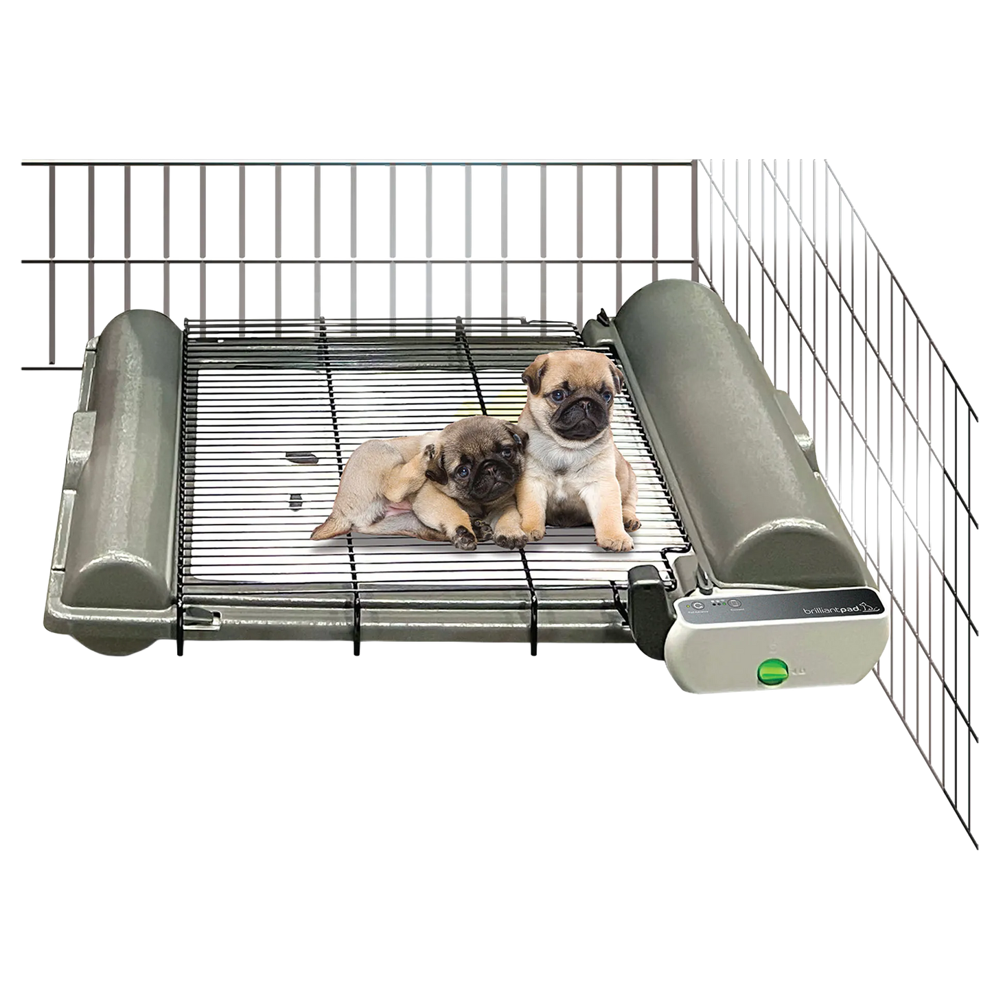 BrilliantPad Pro,"Dog potty tray with side guards and wire pen panels"