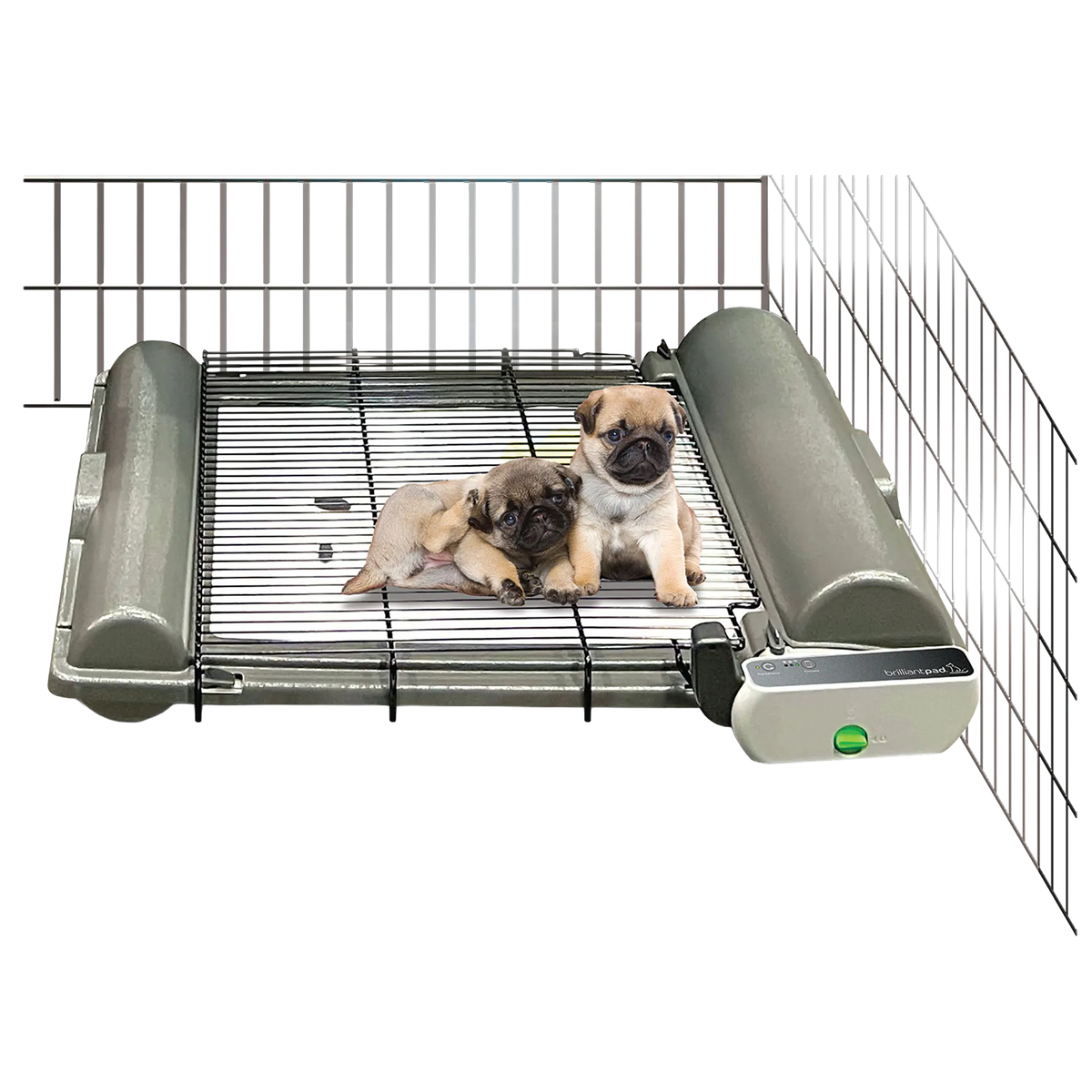 BrilliantPad Pro,"Dog potty tray with side guards and wire pen panels"