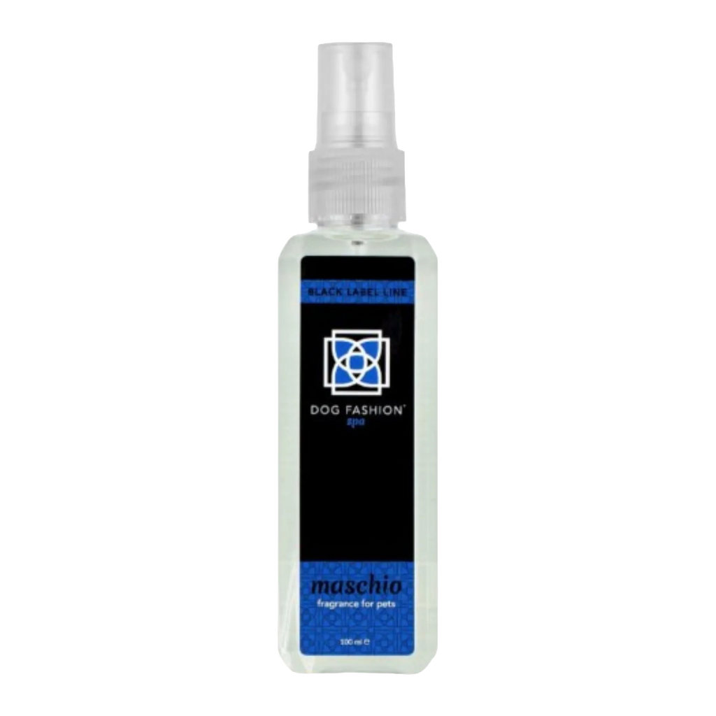 Maschio Fragrance