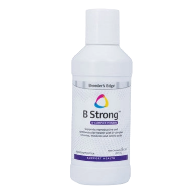 Breeder's Edge® B Strong™,"White supplement bottle with cap"
