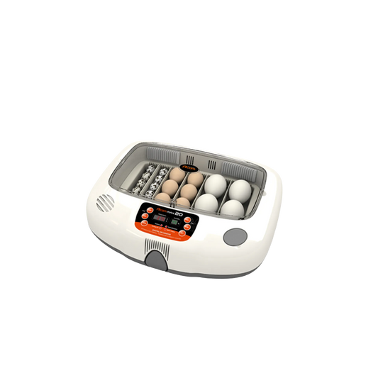 Max-20 Incubator by Rcom USA