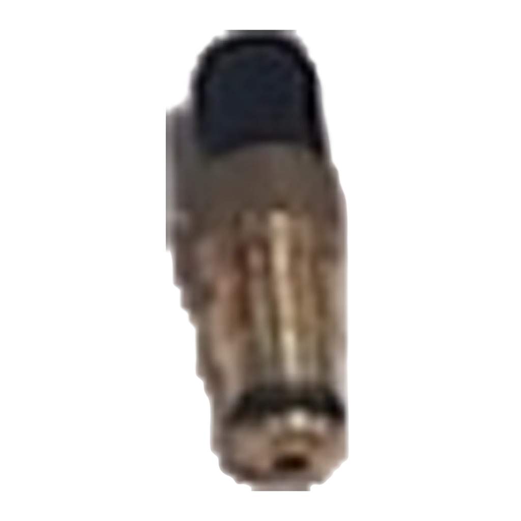 Missouri AV Replacement Valve