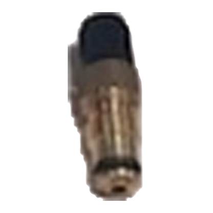 Missouri AV Replacement Valve
