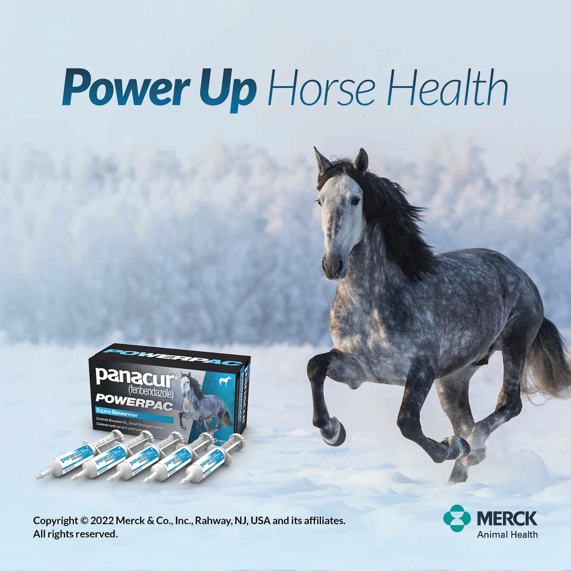 Panacur® PowerPac Paste Horse Dewormer,"Box with five paste syringes and horse image"