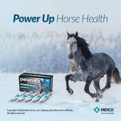 Panacur® PowerPac Paste Horse Dewormer,"Box with five paste syringes and horse image"