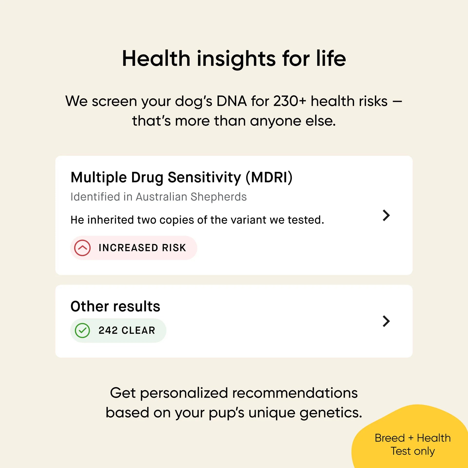 Embark® for Breeders Dog DNA Test Kit,"Health insights screen with risk and result cards"