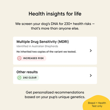 Embark® for Breeders Dog DNA Test Kit,"Health insights screen with risk and result cards"