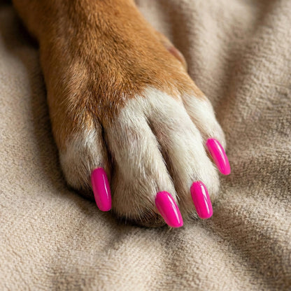 Non-toxic Nail Polish,"Dog paw with bright pink painted nails"