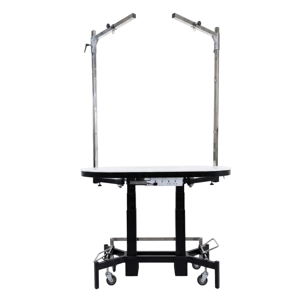 Premium Electric Table by TZGroom