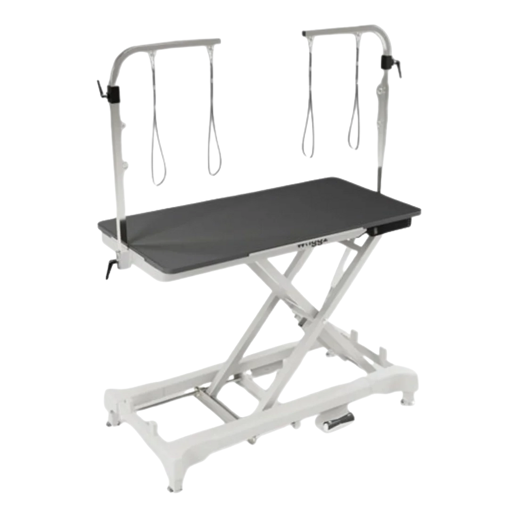 "52"" Dog Grooming 999 Electric Table without Drawer by Waggz","Black grooming table with overhead arm and hanging loops"