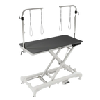 "52"" Dog Grooming 999 Electric Table without Drawer by Waggz","Black grooming table with overhead arm and hanging loops"