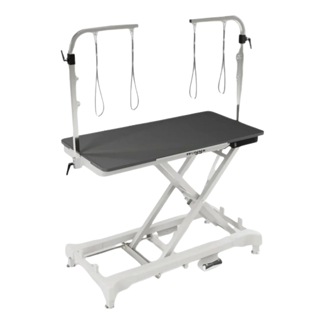 "52"" Dog Grooming 999 Electric Table without Drawer by Waggz","Black grooming table with overhead arm and hanging loops"