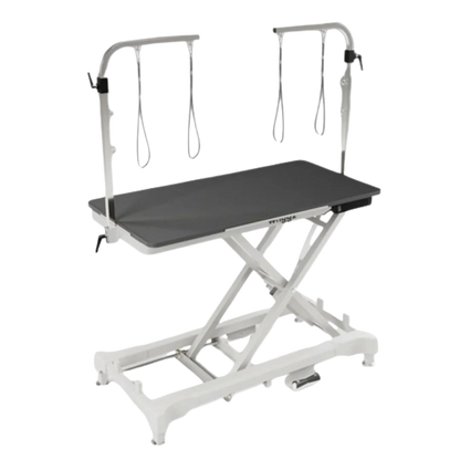 "52"" Dog Grooming 999 Electric Table without Drawer by Waggz","Black grooming table with overhead arm and hanging loops"