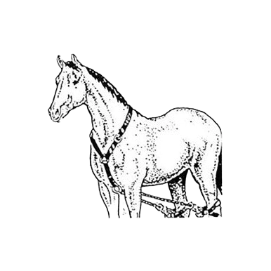 Breeding Hobbles,"Illustration of horse wearing leg hobbles"