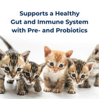 Goat's Milk KMR Kitten Milk Replacer Powder,"Five kittens standing beneath product callout text"