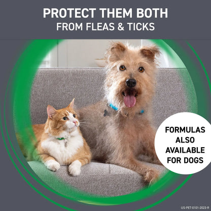 Frontline® Plus for Cats,"Orange and white cat beside tan dog on gray couch"