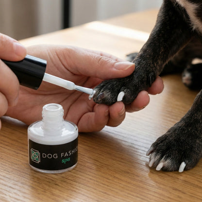 Non-toxic Nail Polish,"Hand applying white polish to a dog's nails"