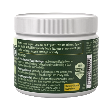 PetAg Dyne Soft Chews Joint Health & Mobility,"White plastic jar with green label and white lid"