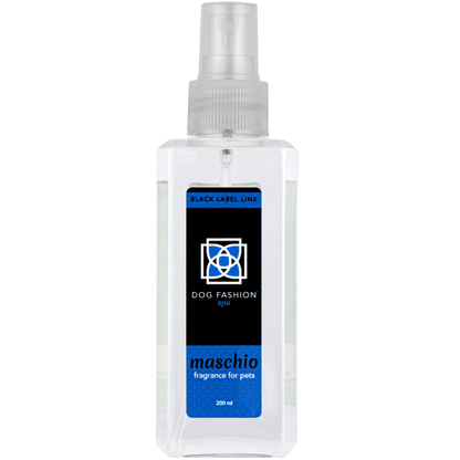 Maschio Fragrance