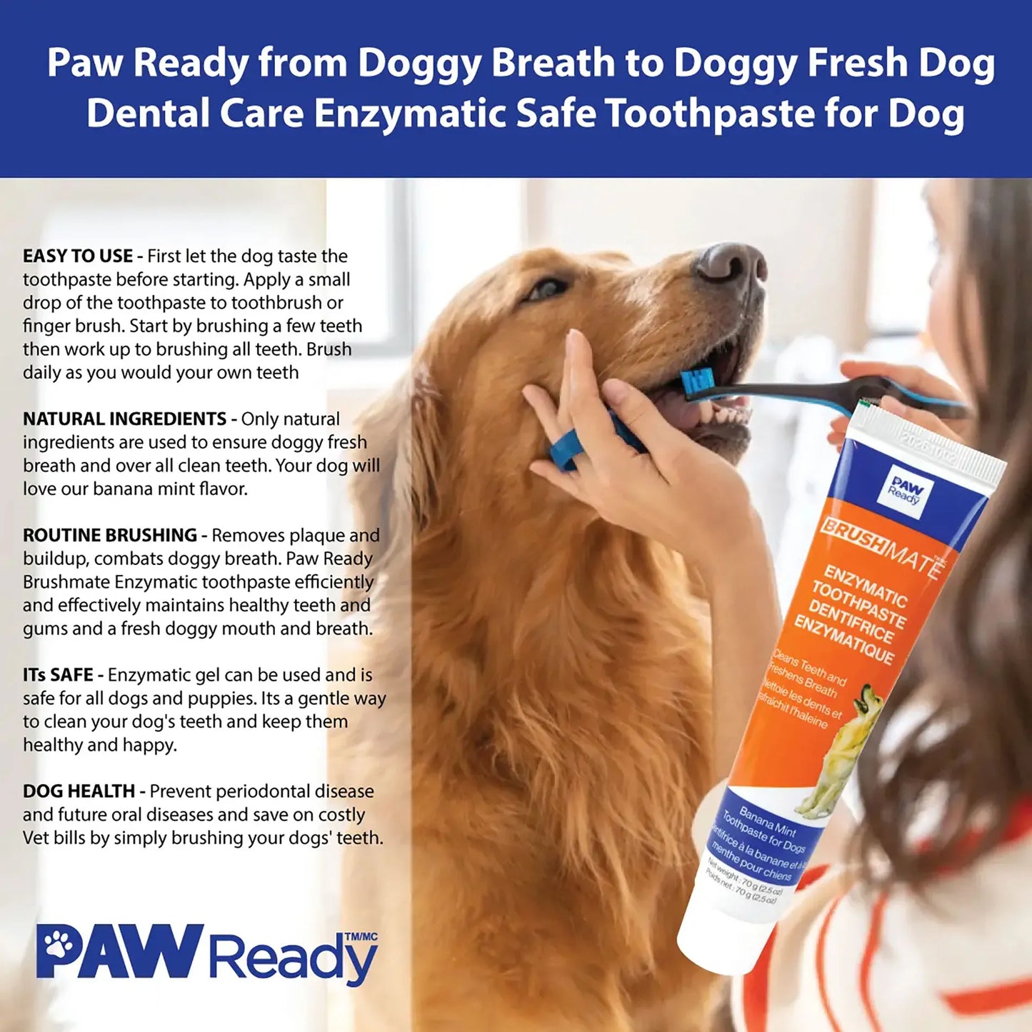 BrushMate ToothPaste,"Dog having teeth brushed with toothpaste tube"
