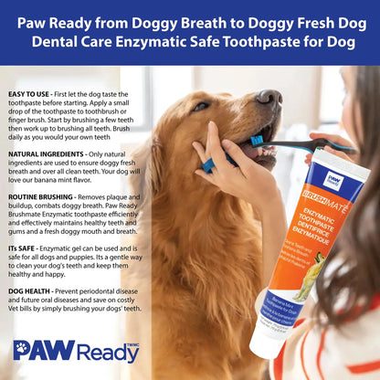 BrushMate ToothPaste,"Dog having teeth brushed with toothpaste tube"