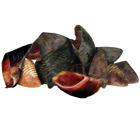 Hooves,"Pile of cut animal hoof pieces"